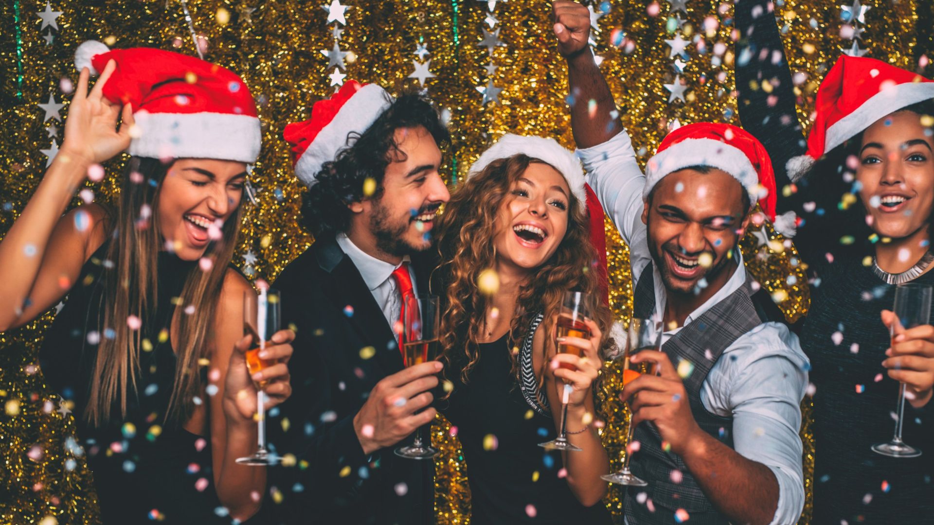 Website Banner (25) Website banner www.villarose.ie