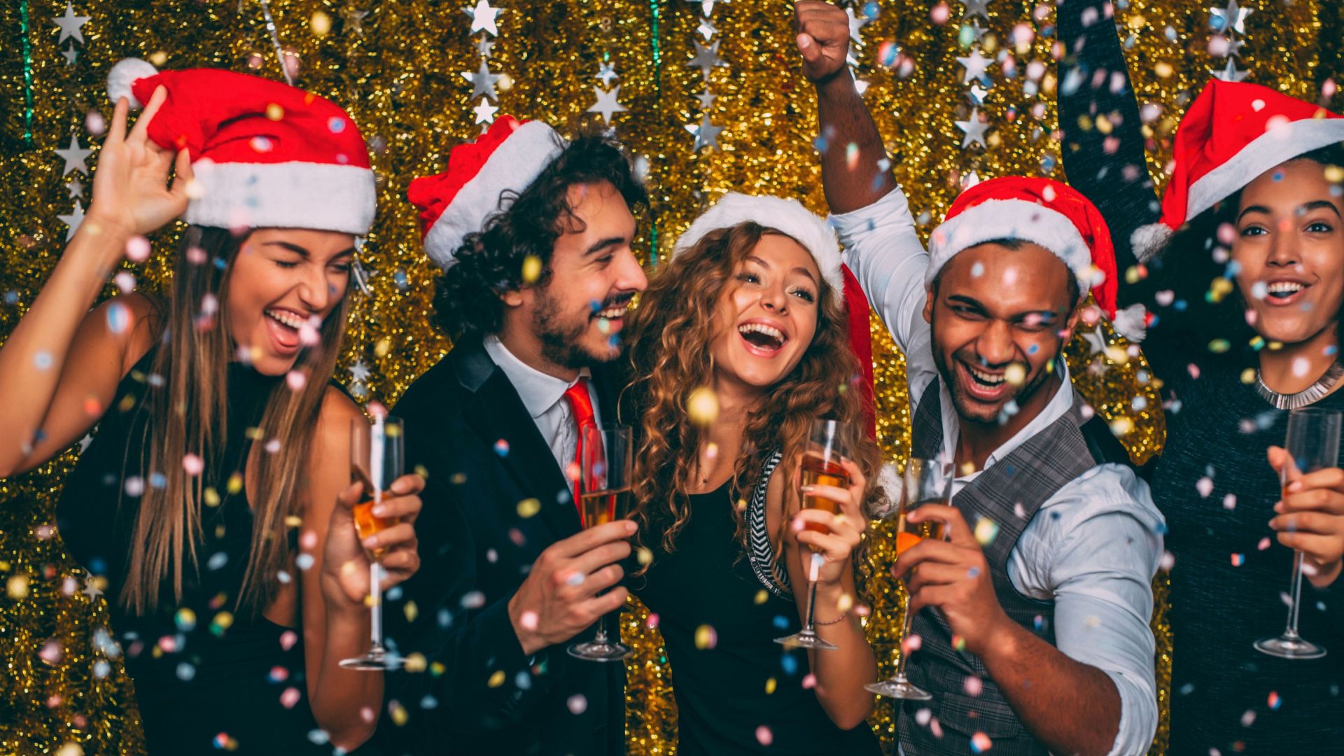 Website banner www.villarose.ie